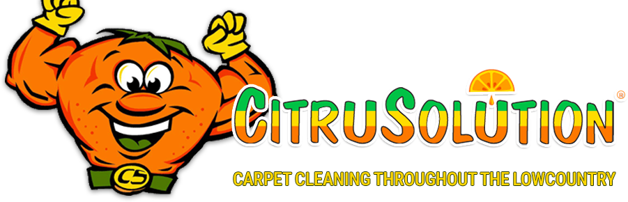 CitruSolution Logo